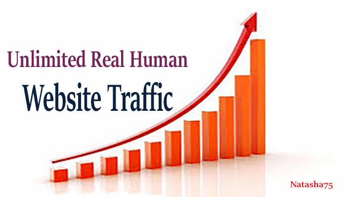 Unlimited Real Human Website Traffic for 6 month