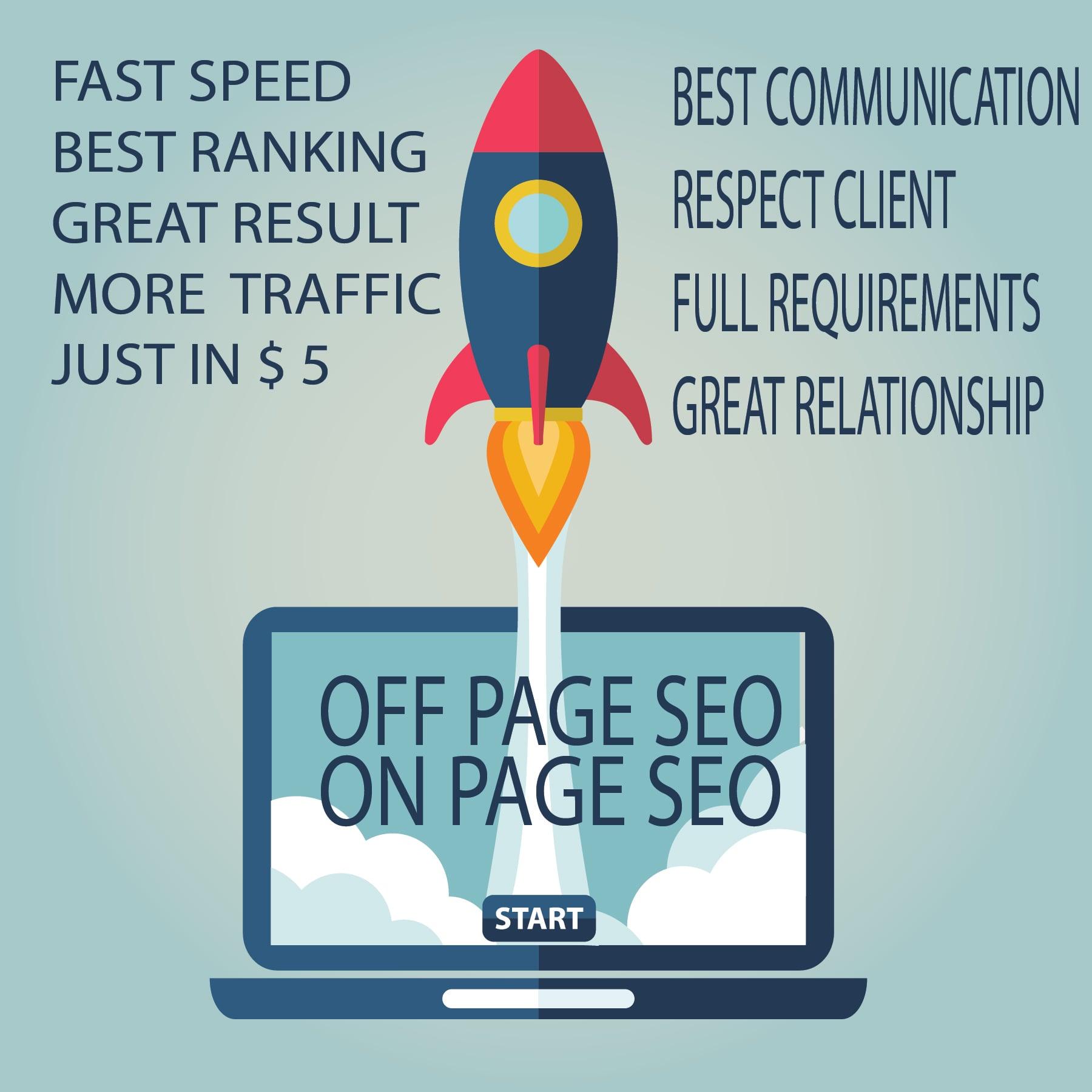 perform a complete and professional onpage and off page SEO
