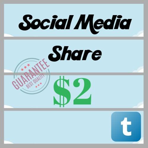 Give You Permanent and Manual 16 High PA DA Social Media Share Help to Google Rank