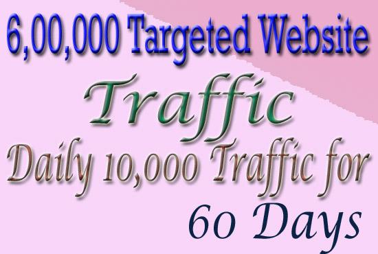 Drive 6,00,000 Real Human Targeted Traffic To Your Website For 60 Days