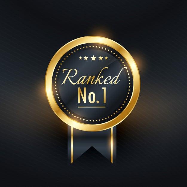 Ultimate SEO Service For Page 1 Rank on Google (Foundation and Pillowing)