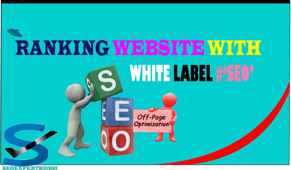 Off Page White lavel  SEO Backlinks  link building Your Website Top #1 Google Rankings