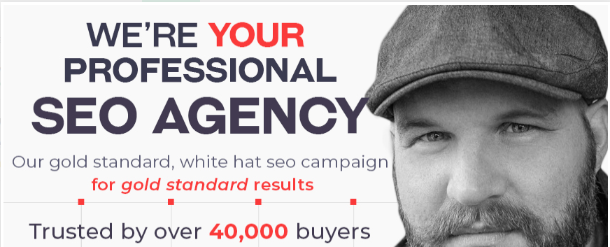  create a full SEO campaign for your website 