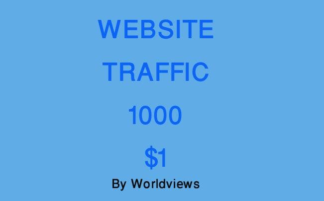 TARGETED Real Human Traffic/Visitors to your Website or Blog