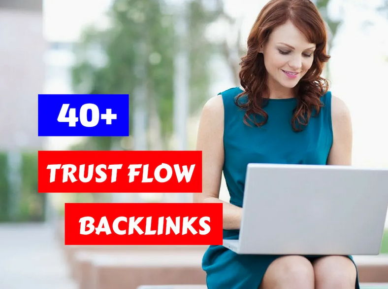 build homepage SEO backlinks trust flow 40 