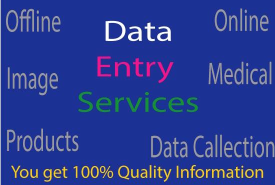 provide Professional Data Entry Services