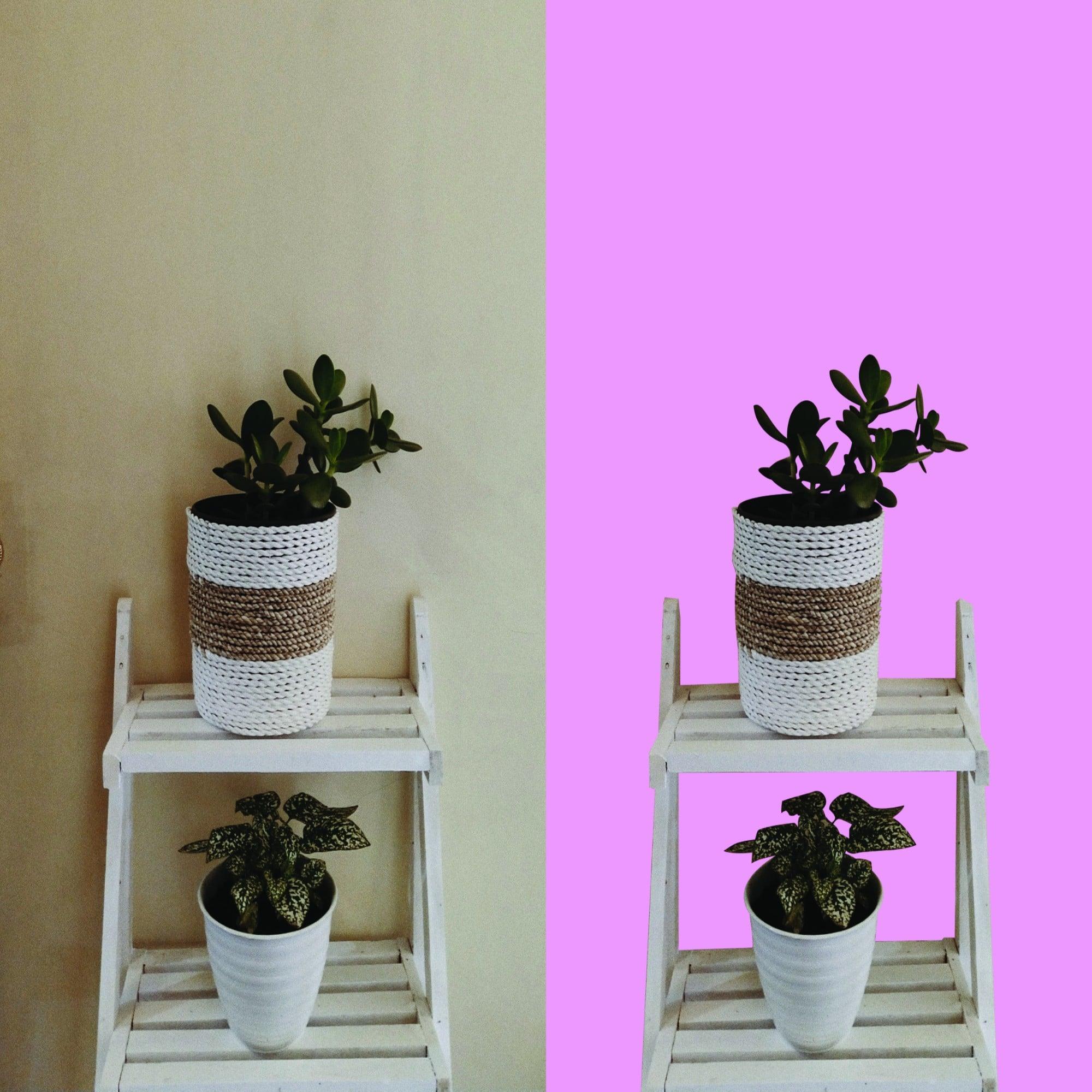 remove or change any Background in Photoshop from 20 images