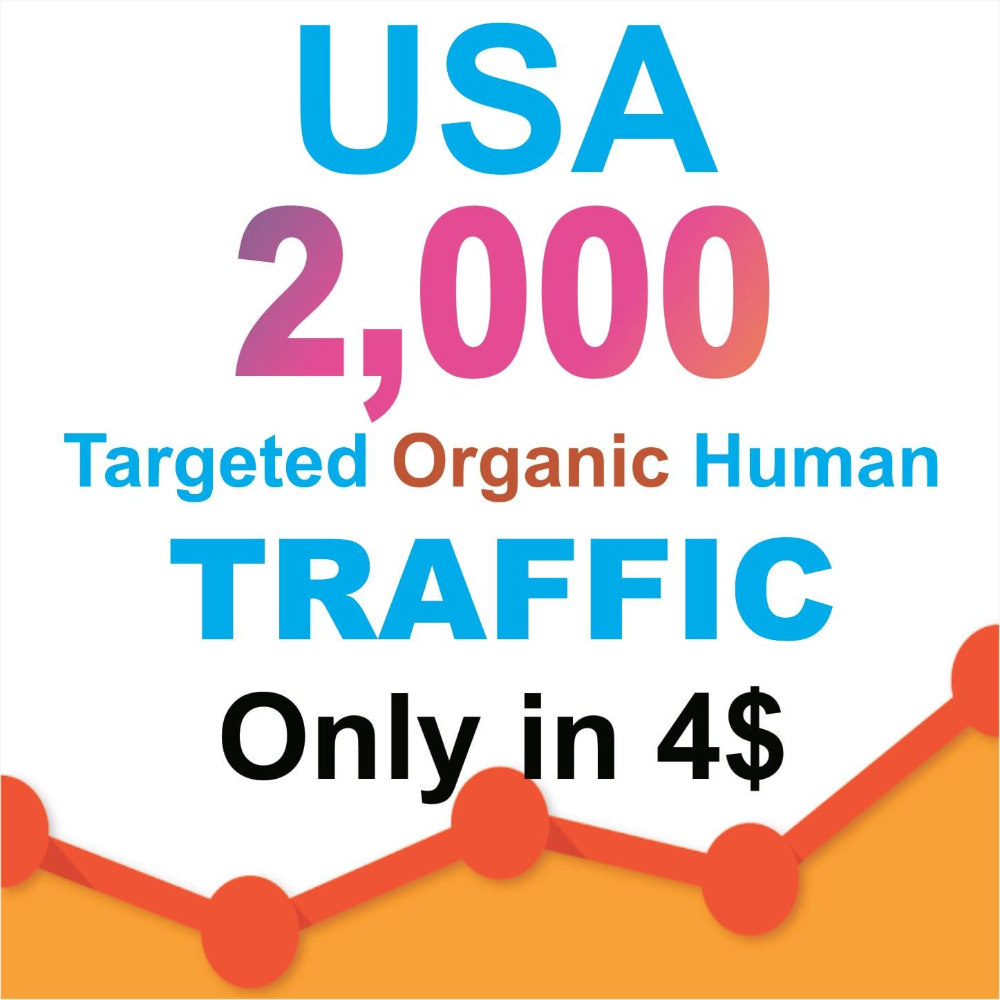 Drive 2000 Niche Targeted Visitors Website Human Traffic