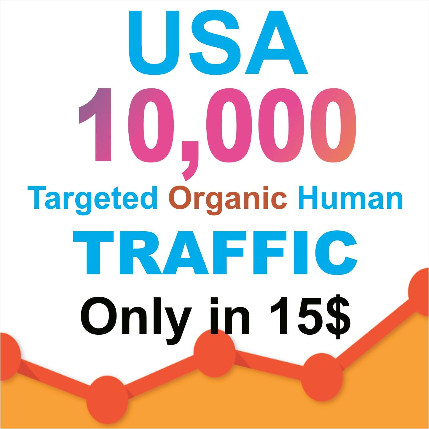 Drive 2000 Niche Targeted Visitors Website Human Traffic