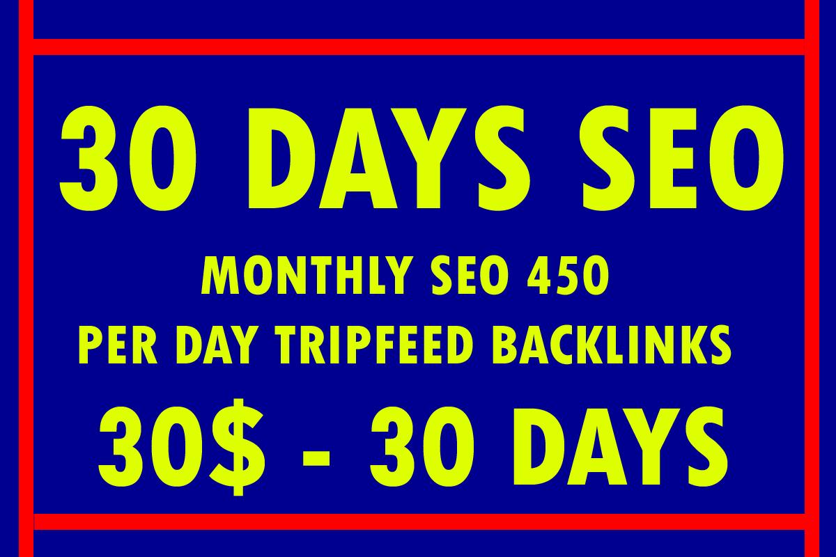 30 Days SEO Pakages With 500 Manual Backlinks