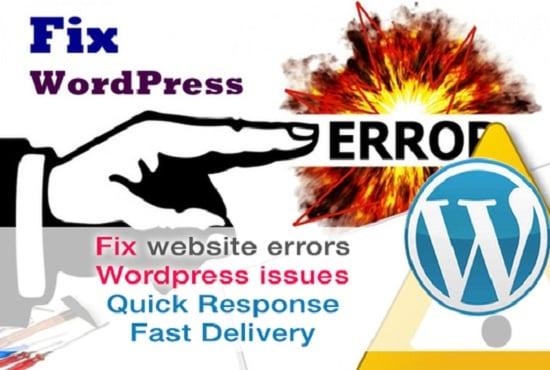 We will Fix Any Wordpress Error