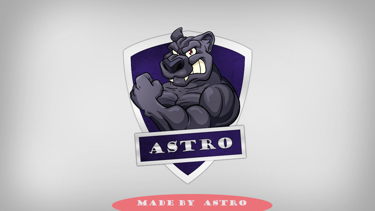 professional graphic designer service [CHEAP]