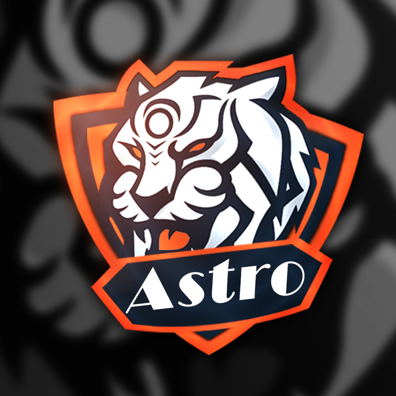 professional graphic designer service [CHEAP]