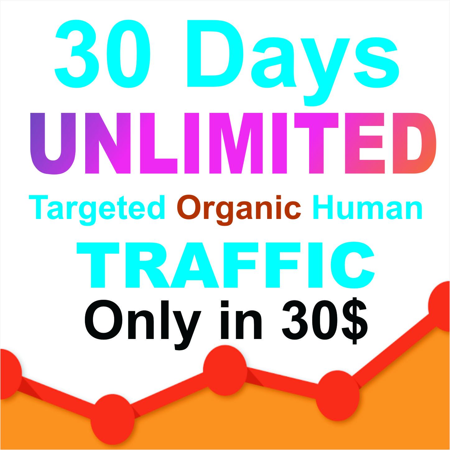 50 days UNLIMITED Keywords Targeted REAL HUMAN TRAFFIC