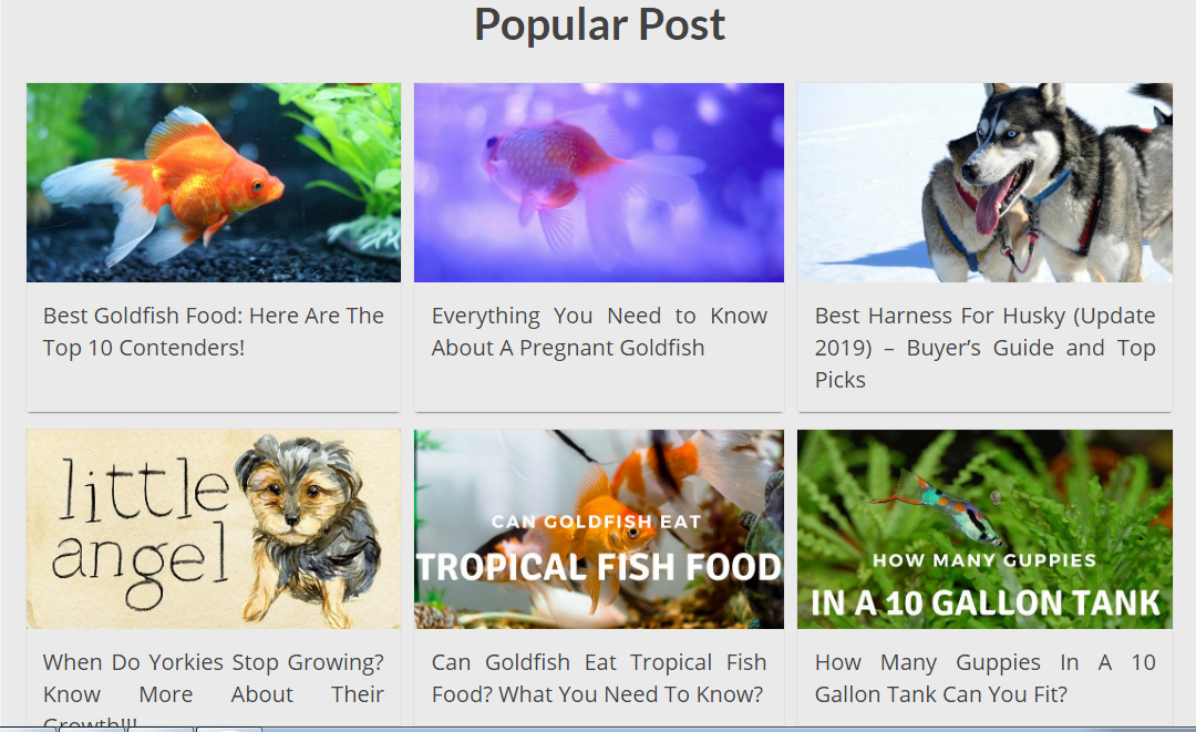 Write and publish a guest post on my pets blog dofollow index link