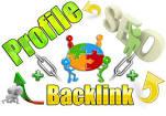  built 150 Profile DOFOLLOW High Quality DA/PA TF/CF Google Dominating BACKLINKS