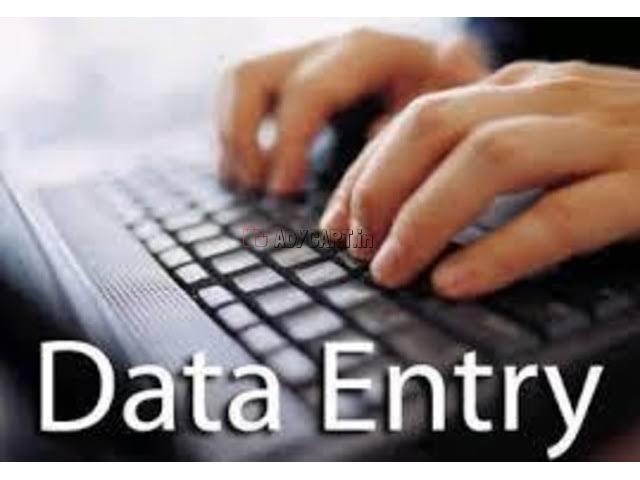 I can do data entry,copy typing,data mining etc