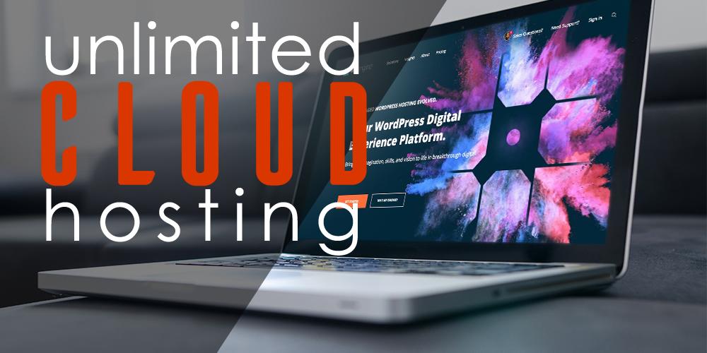 Web Hosting cPanel with unlimited Space, Transfer and E-mail Accounts