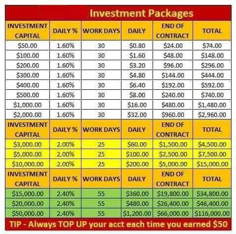 Teach 2% Daily Return on Investment Account