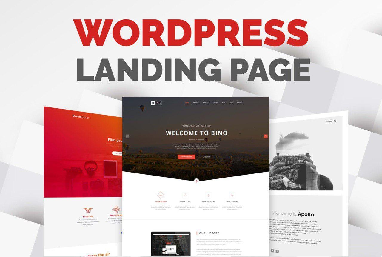 I Can Build Digital Marketing or Any Landing Page