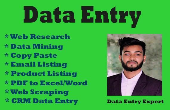 Need a VA For Data Entry, Data Mining, Copy Paste, Web Research