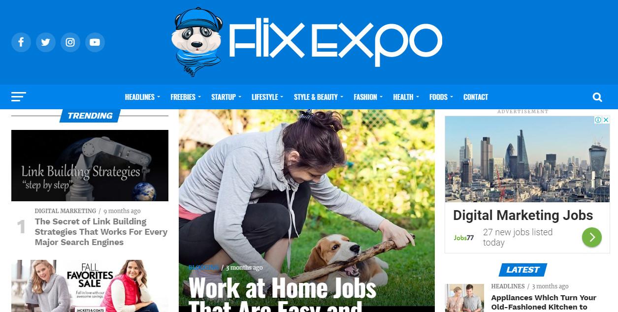 Write & publish Guest post on Flix Expo with Quality Content Marketing