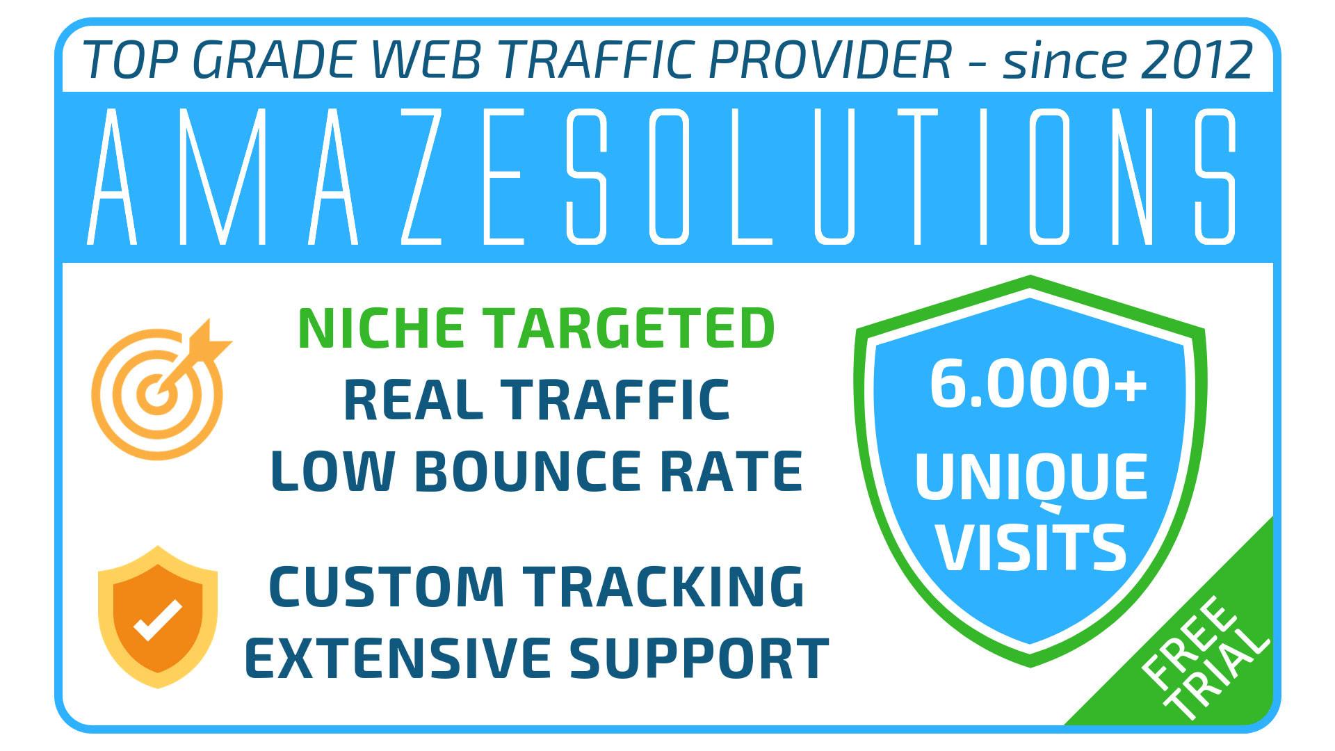 Bring Real Visitors, Targeted You Web Traffic, 6000 Worldwide visitors