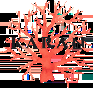 i provide  logo design in low price .