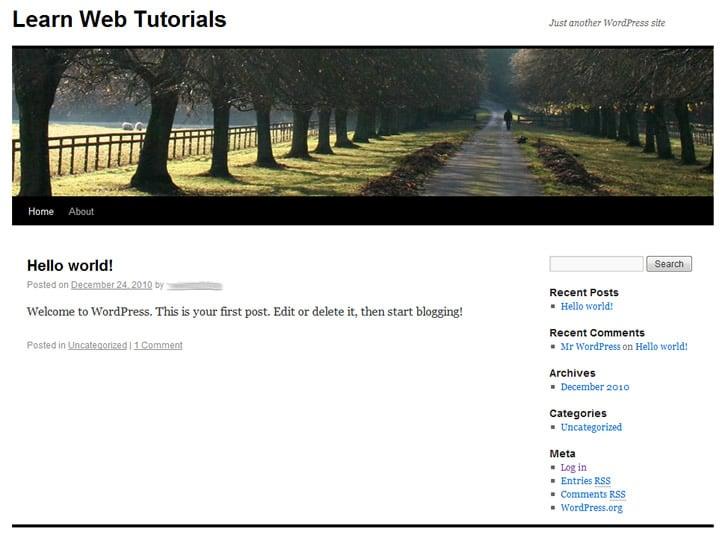 I will continue to post fresh and unique content reach articles to your wordpress site every day