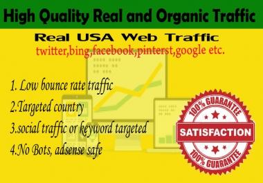 10000 Human USA Targeted traffic to your web or blog site. Get Adsense safe and get Good Alexa rank