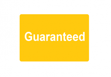 Level 3 Top Seller Organic VevoYouTube Promotion