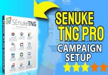 SEnuke TNG Full Monty for your url and keywords