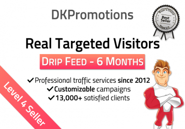 TARGETED Real Website TRAFFIC for 6 months