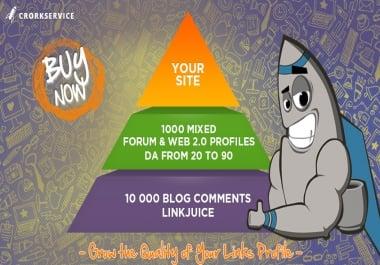 Link Pyramid with 1000 Mixed Profiles and 10 000 Blog Comments