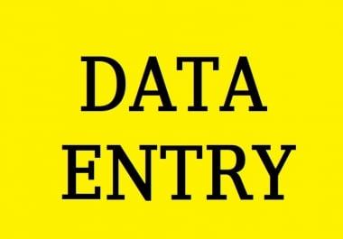 I will do any type of data entry job