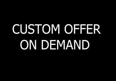 Do Custom Work As Decided or As We Promise - Fast