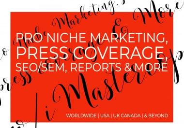 Professional Niche Search Engine Optimization SEO