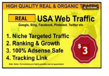 drive niche related targeted traffic to your ebay,  amazon,  shopify stores