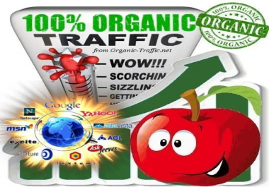 Organic & Targeted Traffic Service VIP SEO Boost