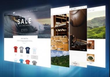 I Will Design Fully Responsive Shopify Store