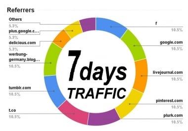 send 7 days UNIQUE Website Traffic Live Analytic with EXTRAS
