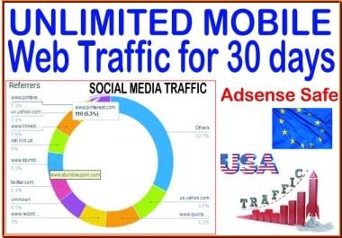 Do Targeted Organic & Social Media WEB AdSense safe 200 to 300 daily TRAFFIC for 30 days