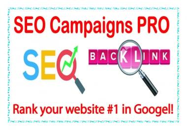 SEO Campaigns PRO-High Metrics NICHE Relevant Quality Links