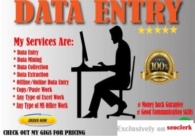 I will convert PDF to word,  PDF to excel,  image/scanned page to word/excel data entry work
