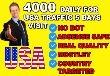 Drive organic usa real target website traffic visitors