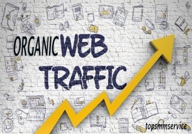 REAL and ORGANIC UNLIMITED Website TRAFFIC for 6 months