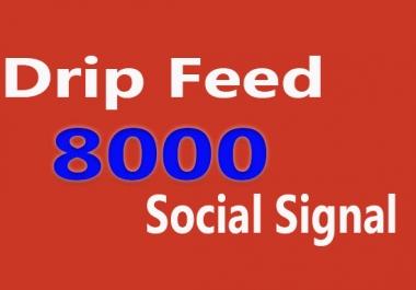 Drip Feed 8000 Social Signals,  To Website Improving for 15 days