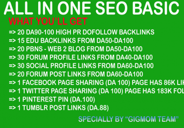 All in One SEO Basic to Boost Search Engine Results