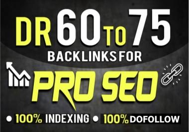 Create 20 UnBeatable DR 60-70 DoFollow High Authority PBN Backlinks