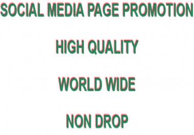 Social Media Page Promotion within 1-3 days